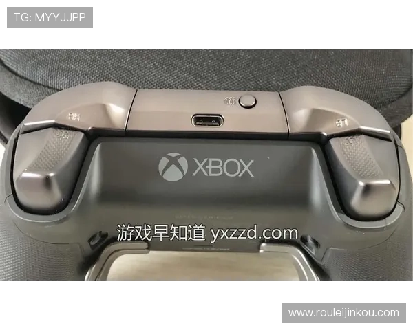 PP游戏官网安全保障措施及账号保护策略全面解析确保玩家账号安全